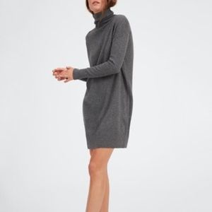 Everlane Cashmere Turtleneck Dress in Charcoal